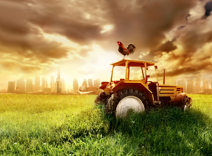 farmland_tractor_shutterstock_12716239